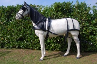 eurotech_combi_harness