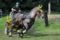 Broek, trekpaard eurotech_shire_harness