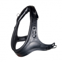 Frans Gareel Marathon frans-gareel