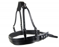 Borst, Fries friese_borst