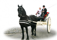 Fries tuig friesetuig