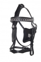 Hoofdstel, Fries  hoofdstel_fries