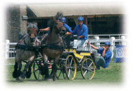 Trekpaard tuig trekpaard_tuig_