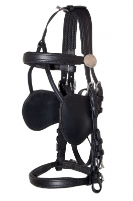 bridle_eurotech_new