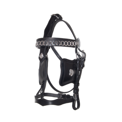 fries-frontriem-ketting