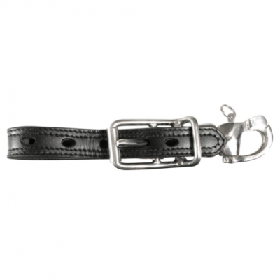 veiligheidsdisselriem