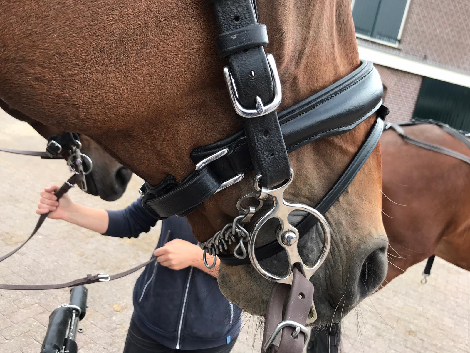 anatomische neusriem Luxe 1